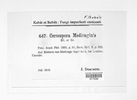 Cercospora medicaginis image